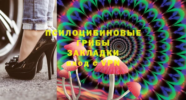 мяу мяу мука Баксан